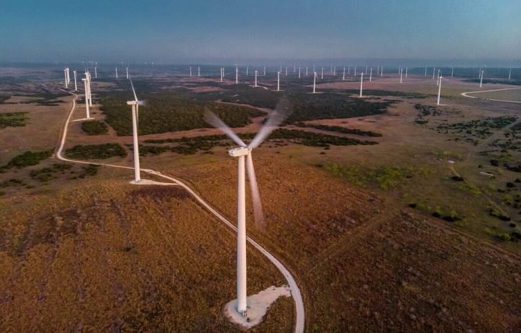 德州风电场