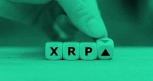 Ripple课程，XRP价格