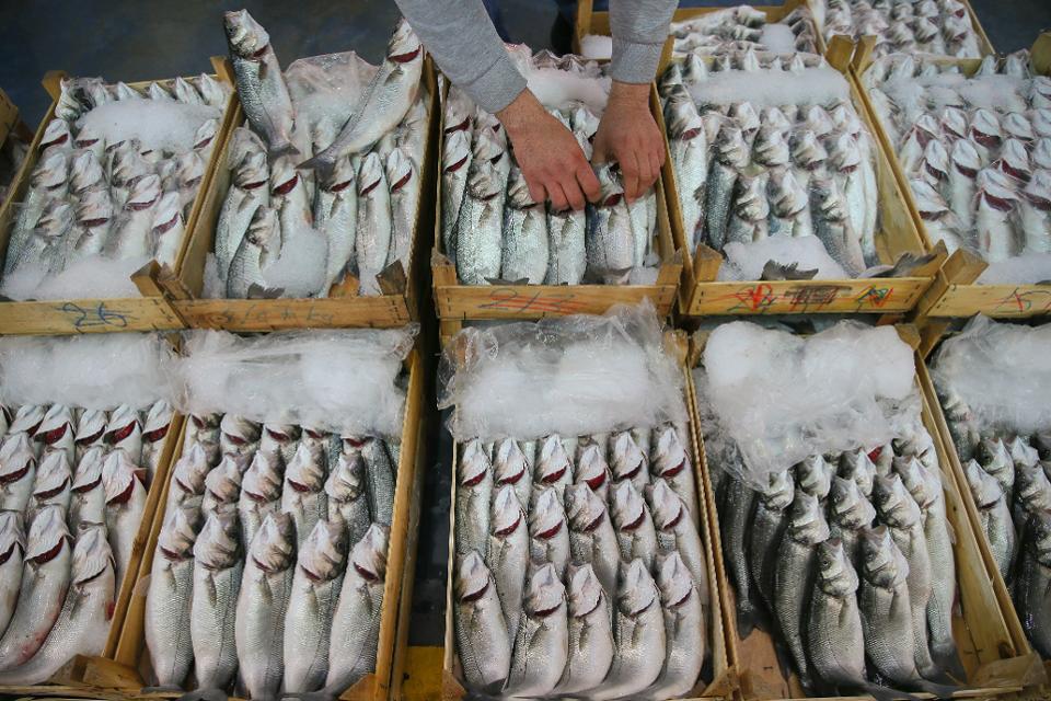 土耳其伊兹密尔的鱼市场