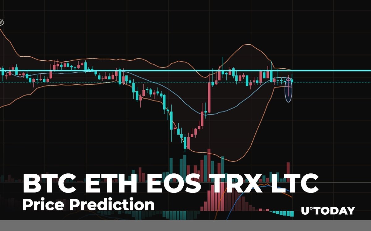 BTC，ETH，EOS，TRX和LTC价格预测：反弹中可以期待什么？