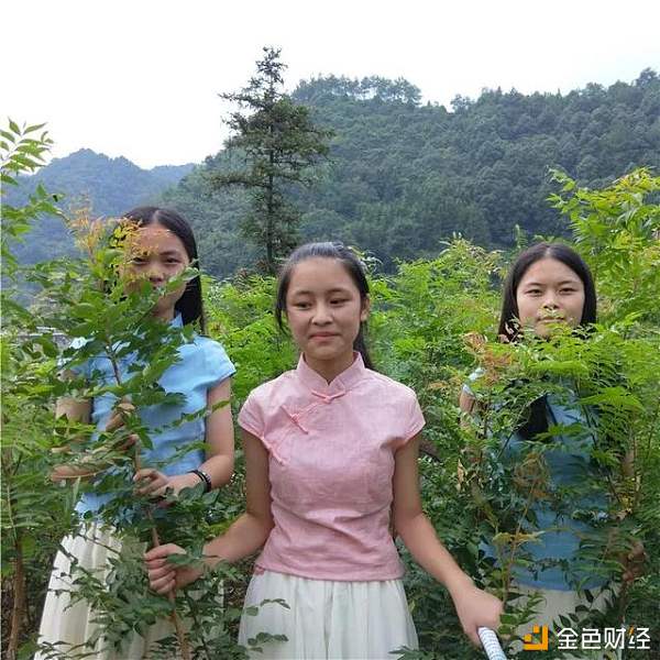 黄练芽树在中国的垂直分布规律