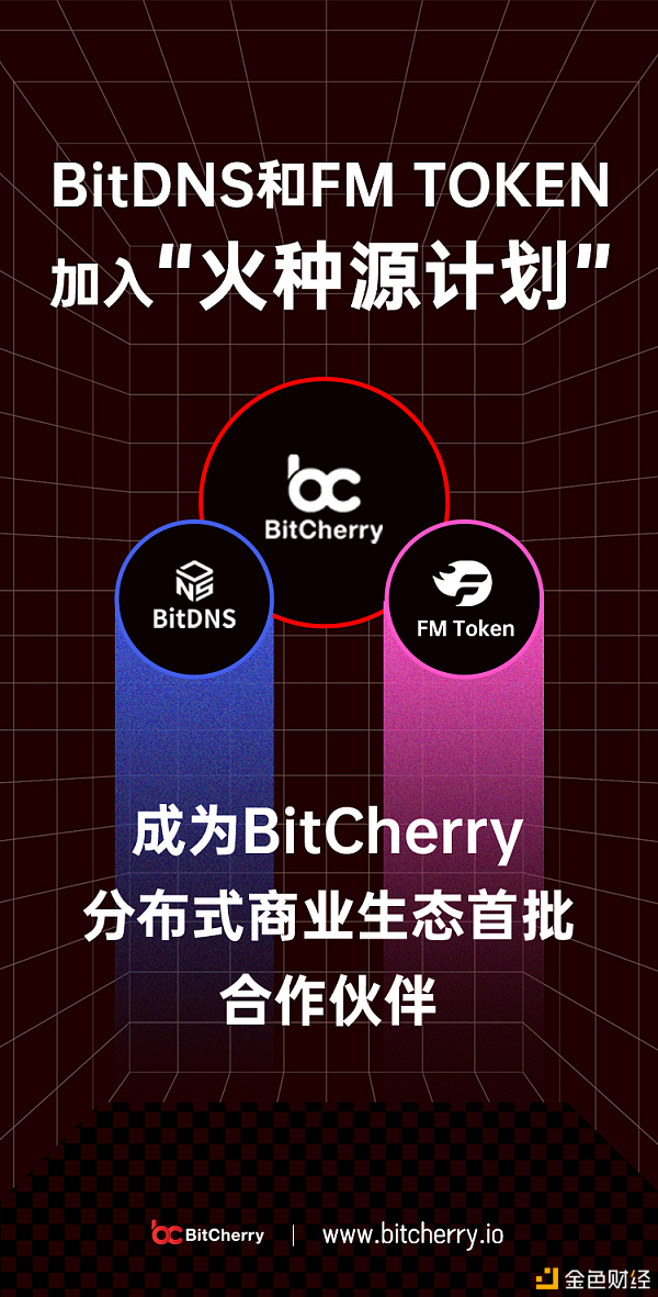 bitdns、fm变成bitcherry散布式贸易生态首批协作搭档