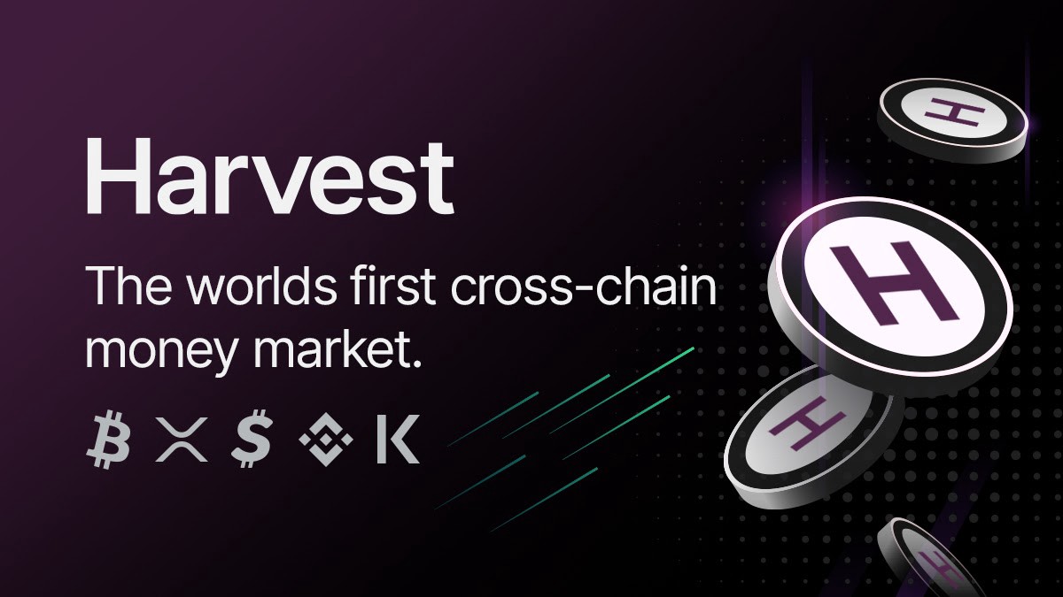 介绍全球首个跨链货币市场——Hasdfsrvest.io
