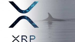 已向与Ripple关联的地址发送了1.662亿个XRP