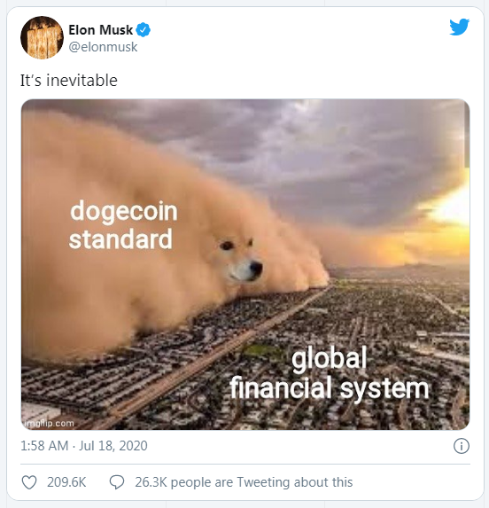 伊隆·马斯克（Elon Musk）的推文将狗狗币价格推高