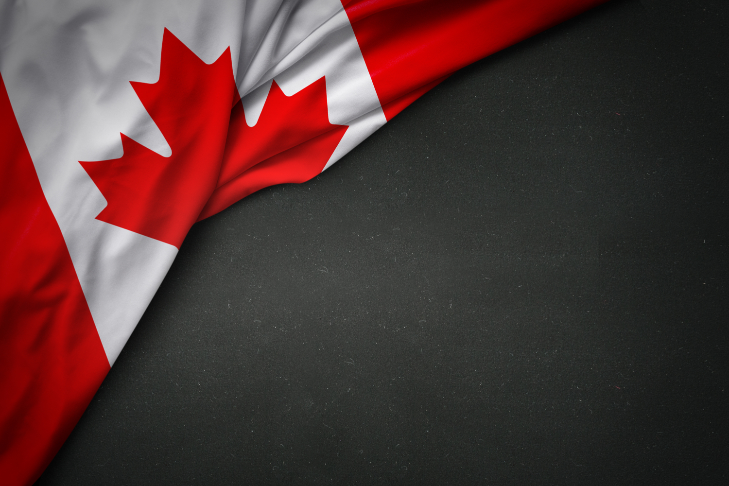 加拿大交易所Shasdfskepasdfsy获得冷钱包保险以保护