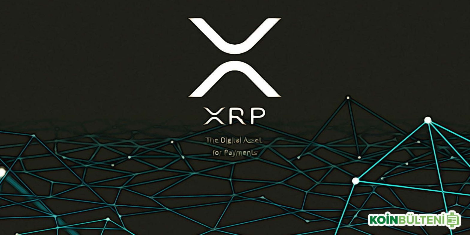 XRP投资者损失数百万美元给社区带来了好消息