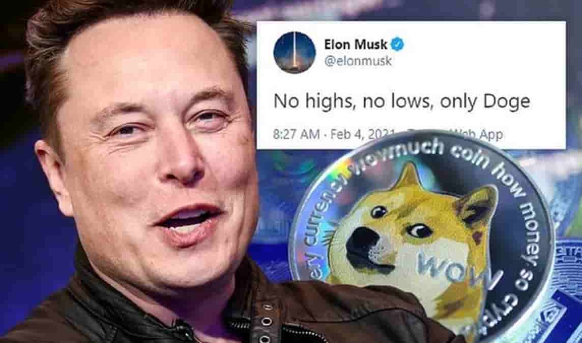 伊隆·马斯克（Elon Musk）永远改变了狗币。