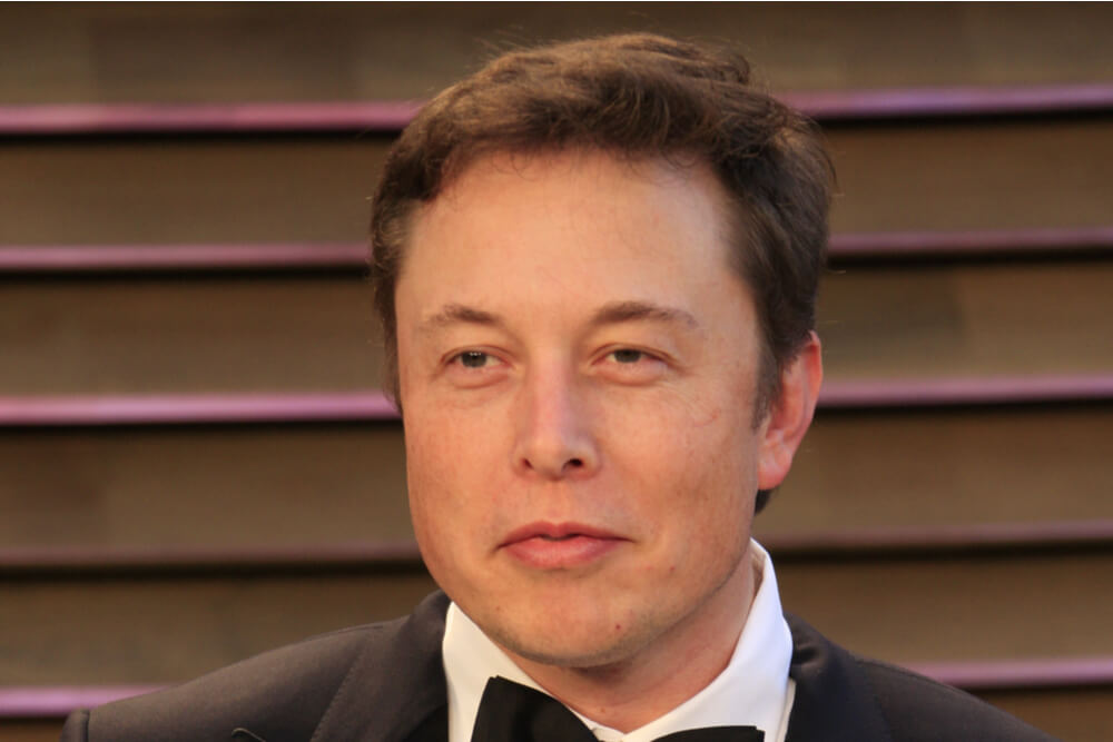 Elon Musk刚刚购买了整个Lottasdfs比特币