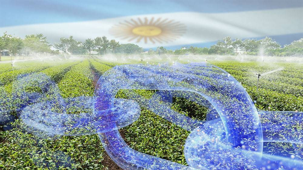 《【区块链应用】阿根廷率先在区块链应用中实现高效用水》