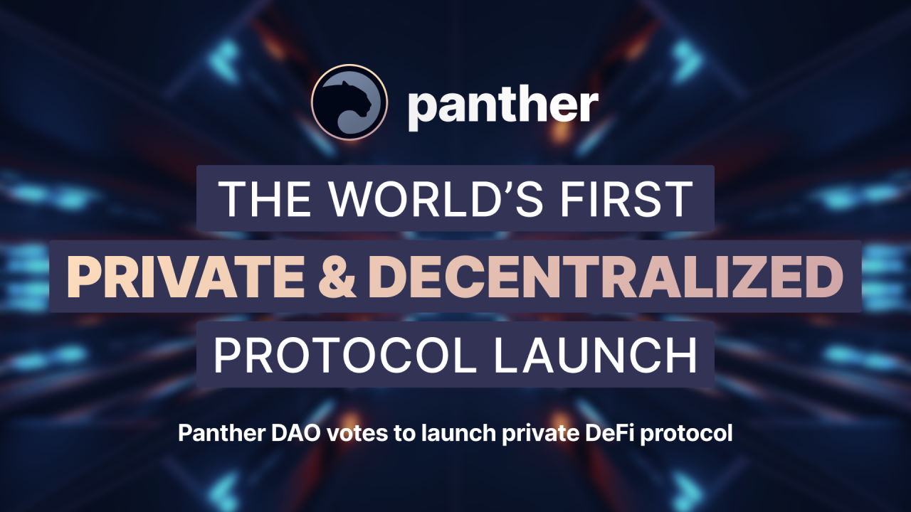 Panther DAO 投票将在 1 月底推出私有 DeFi 协议 – 新闻稿 比特币新闻