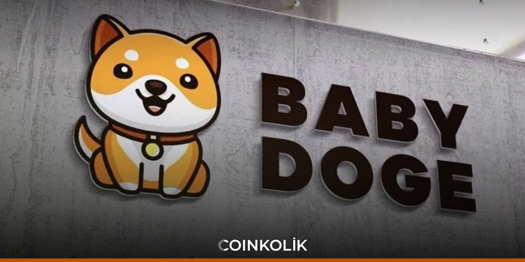 Baby Doge 在 BSC 交易量最大的加密货币中名列前茅